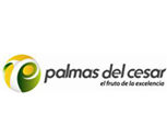 Palmas del Cesar